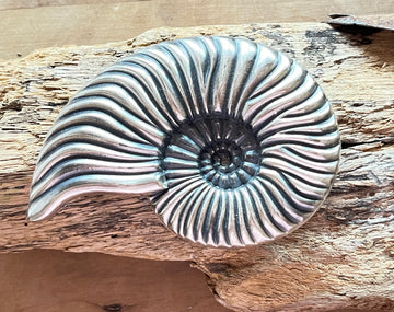 Wechselschnalle wunderschöne silberfarbene Ammonnitschnecke 6,5x10cm für Gürtel bis maximal 4cm Breite.Massiv Metall