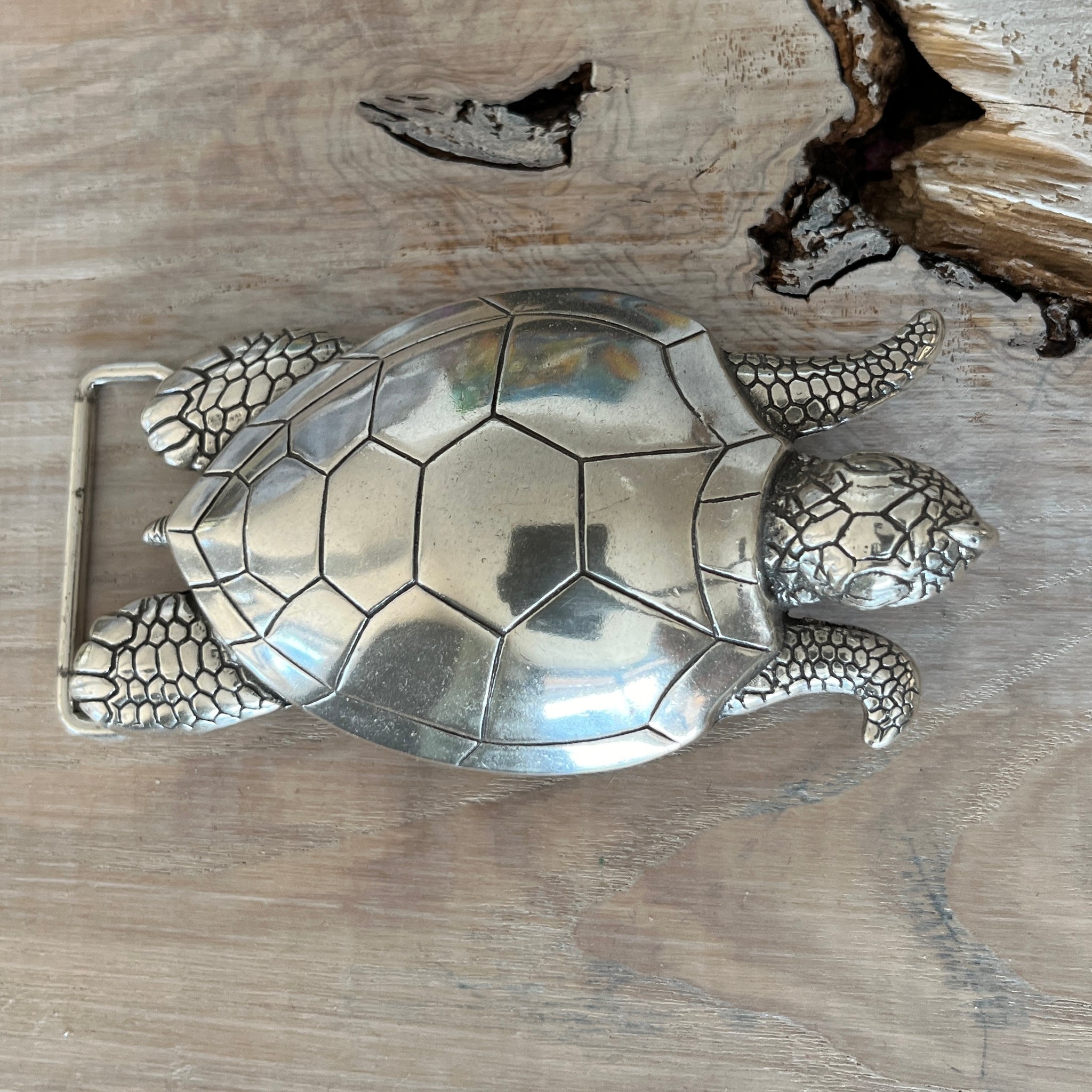 Wechselschnalle hübsche Schiltkröte silberfarben 5,5x10cm. Passend für Gürtel bis 4cm Breite. Massiv Metall